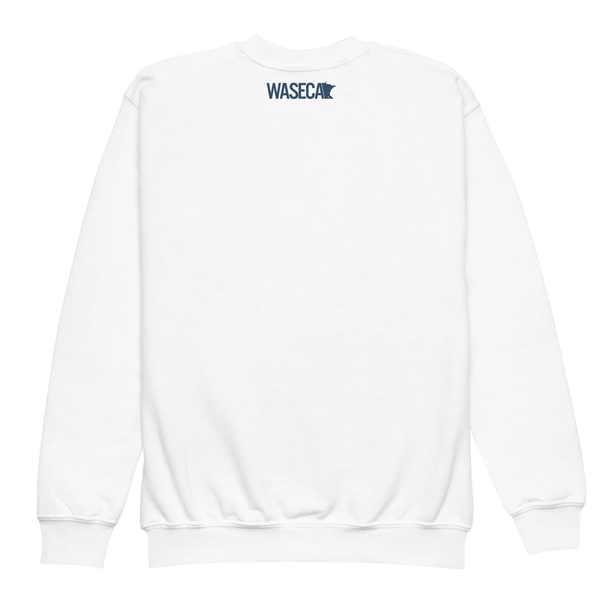 youth-crew-neck-sweatshirt-white-back-6894132020d74.jpg