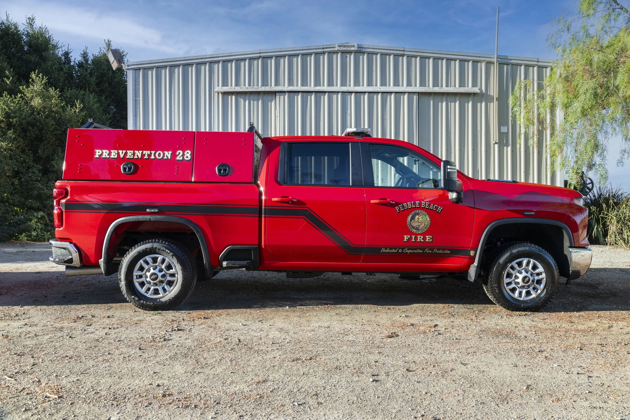 _0Z82636-Edit copy.jpg