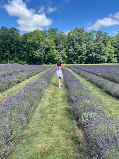 lavender.jpg