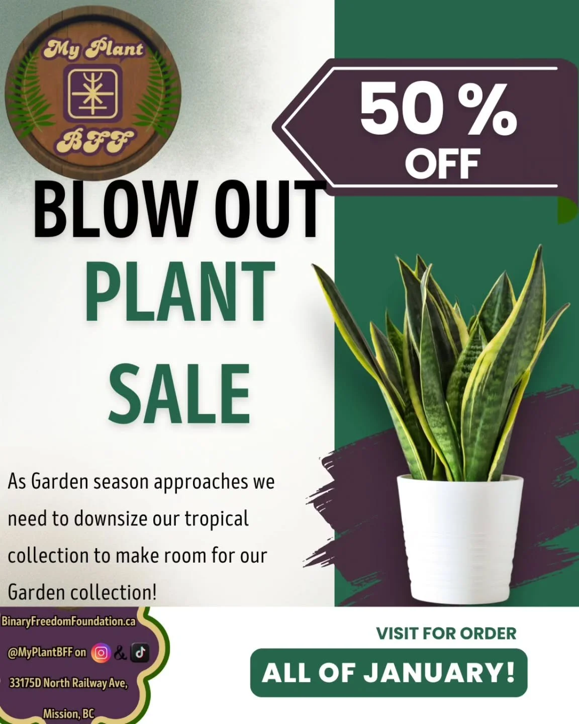 ✨️BLOW OUT PLANT SALE✨️

We are getting ready for the busy spring gardening season which means we need to make room! We are going to be doing a 50% off blow out deal for ALL OF JANUARY! Now is the perfect time to get that plant you have been debating