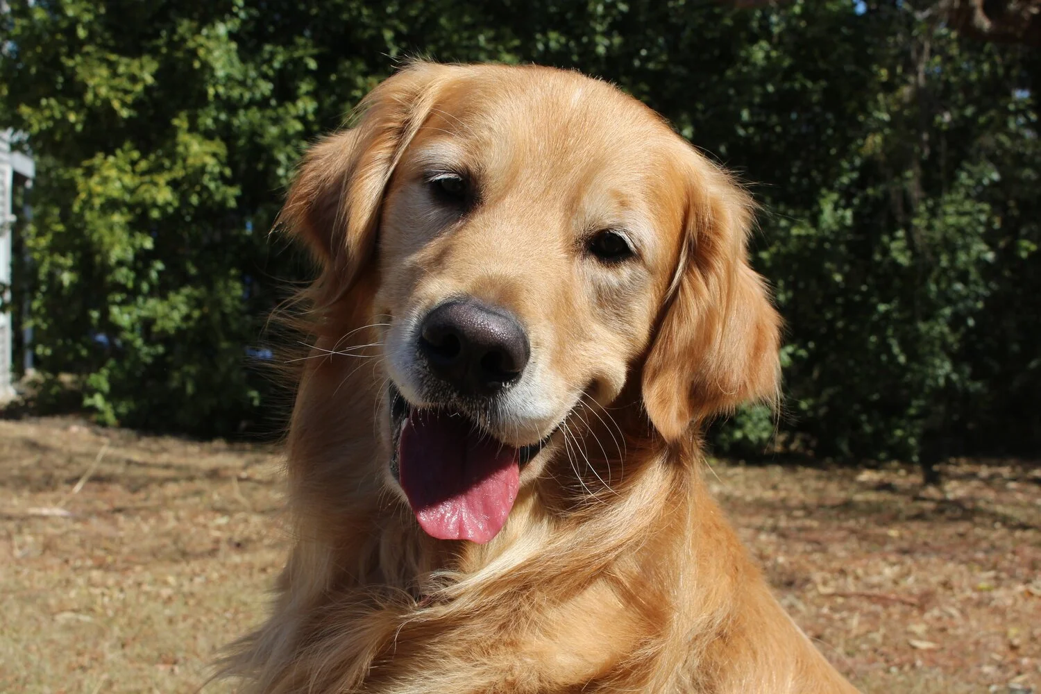ASHER.jpg