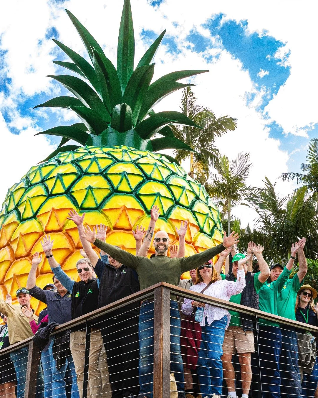 Behind every pineapple is an Aussie grower with true passion, grit and a love for what they do. 🍍

This National Ag Day, we doff our hat to the men and women who rise with the sun and put in long days and endless care to deliver us the very best pro