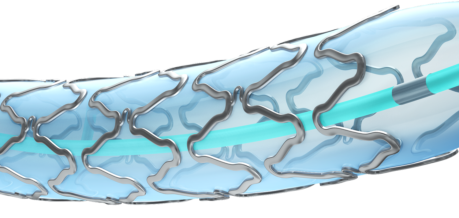 APOLLO™ Intracranial Stent System — Microport Neuroscientific