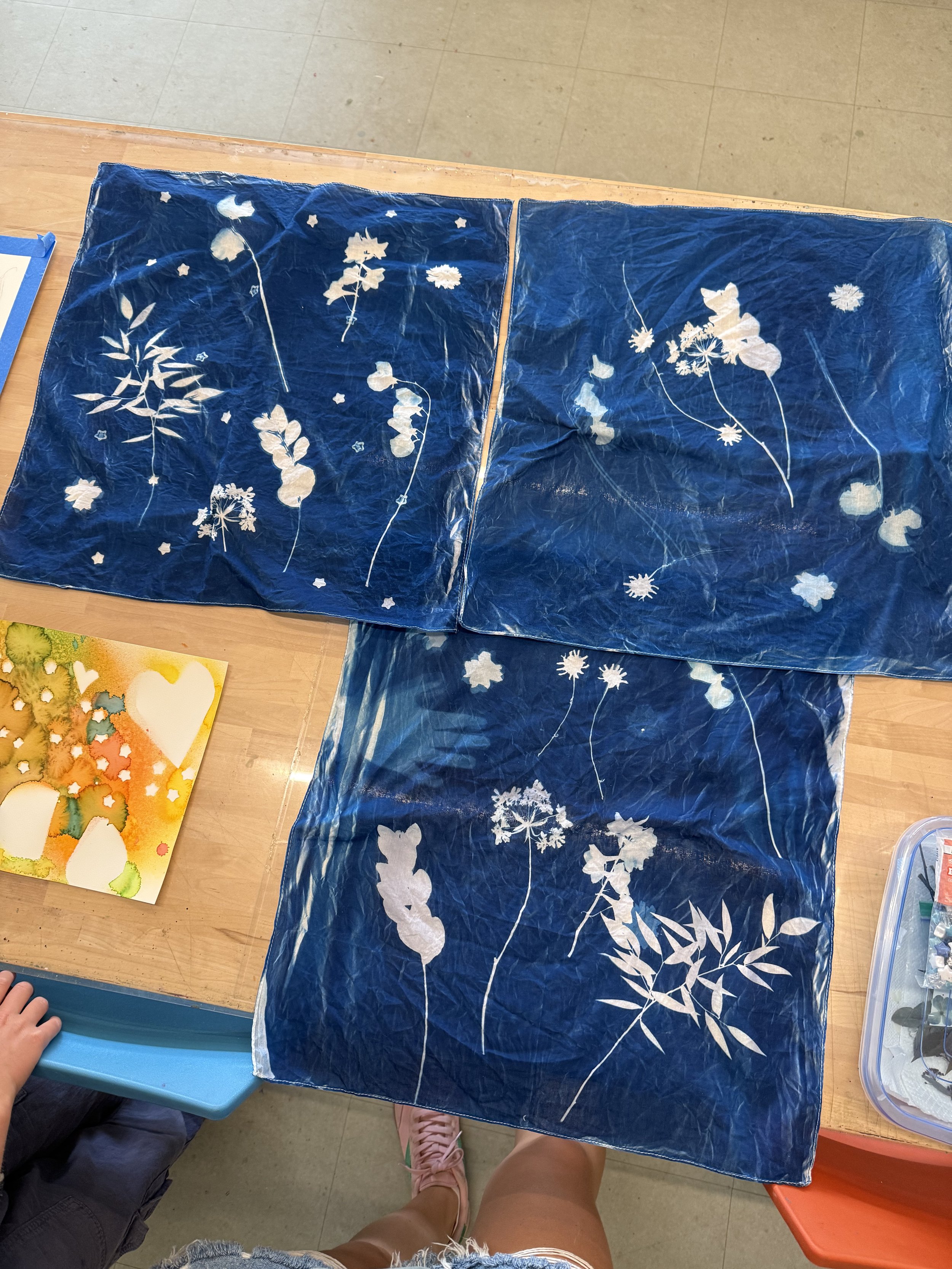 Cyanotype fun at camp 
