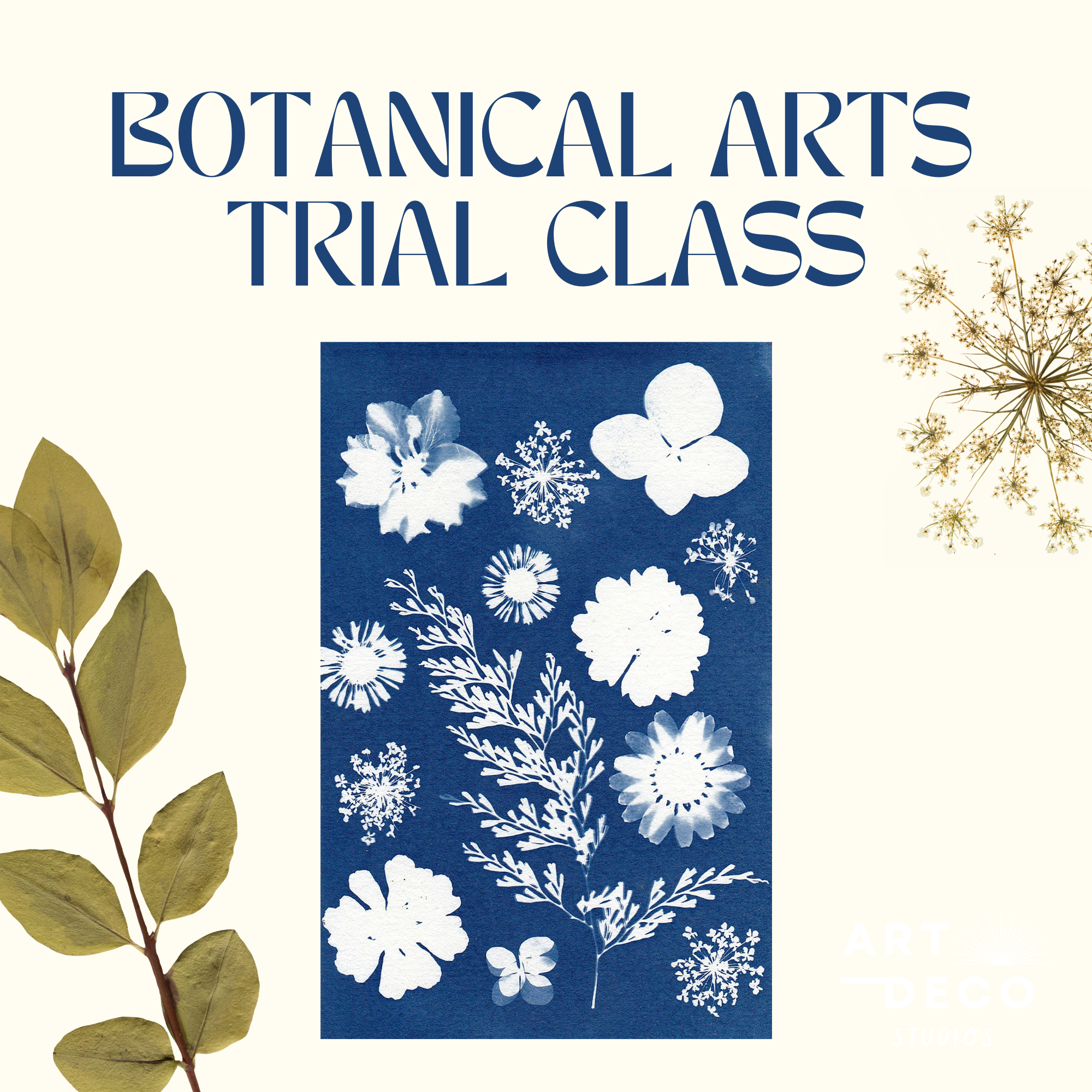 Trial class flyer.png