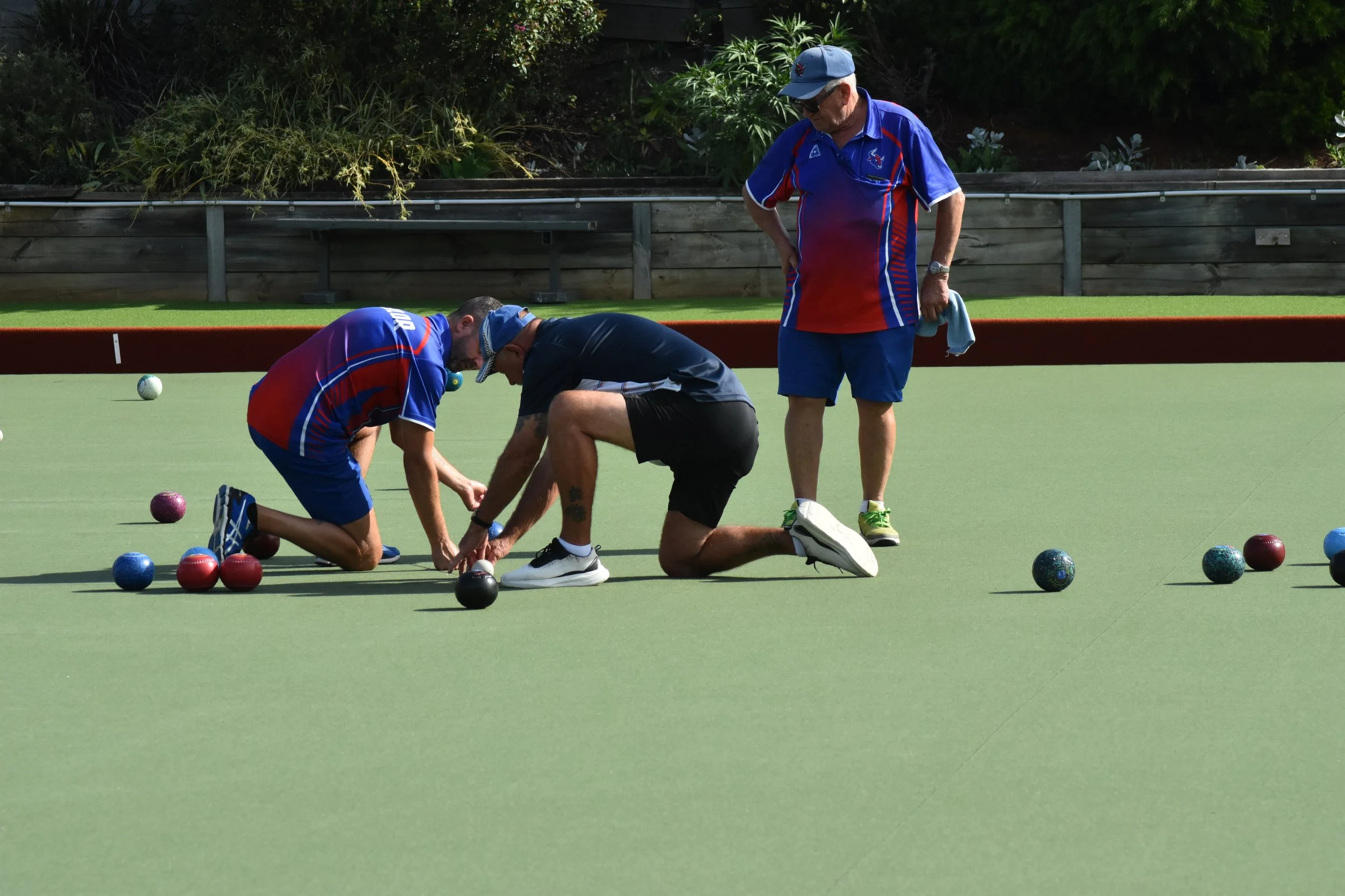 D72_7420.JPG