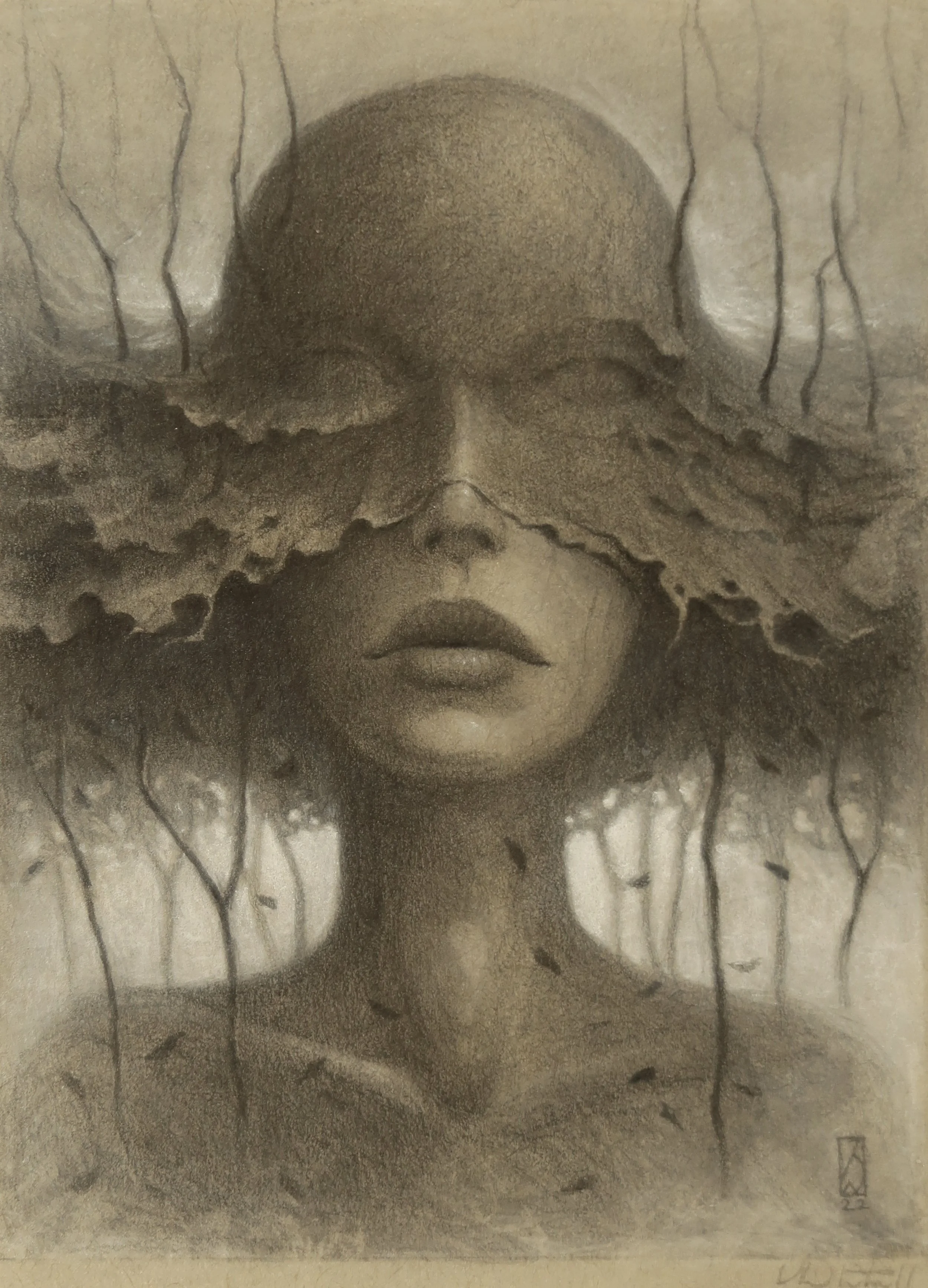 Forest Dream