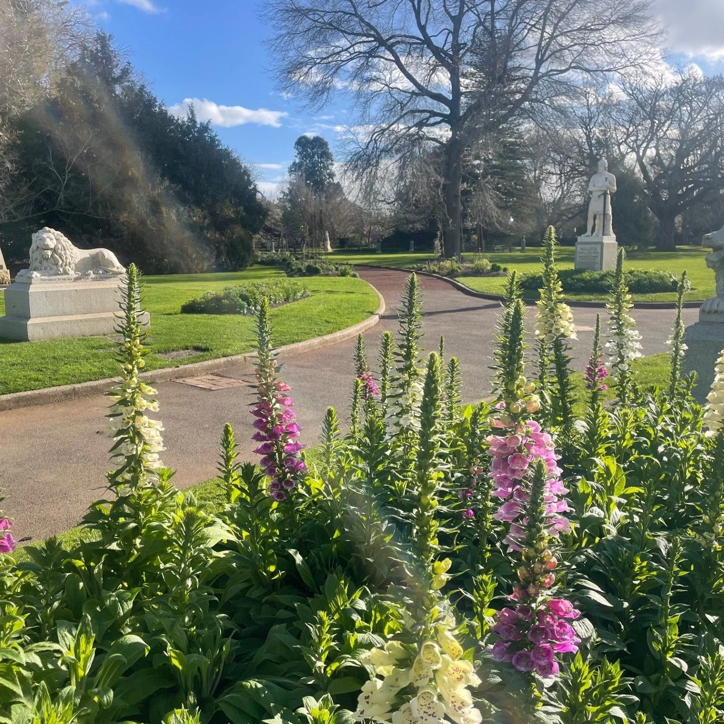 The statue of Scottish hero William Wallace greets visitors to the Ballarat Botanical Gardens.

It is among the collection of statues in the gardens donated by Thomas Stoddart in 1884.

Now more than 140 years old, the statues are made of the finest 