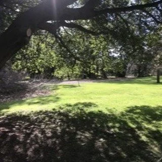 come and visit the garden in the warmer weather