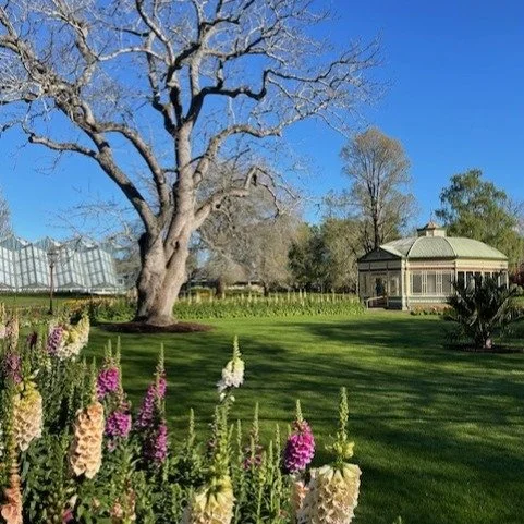 #gardenlove #beautifulballarat #botanicalgardens #springinballarat