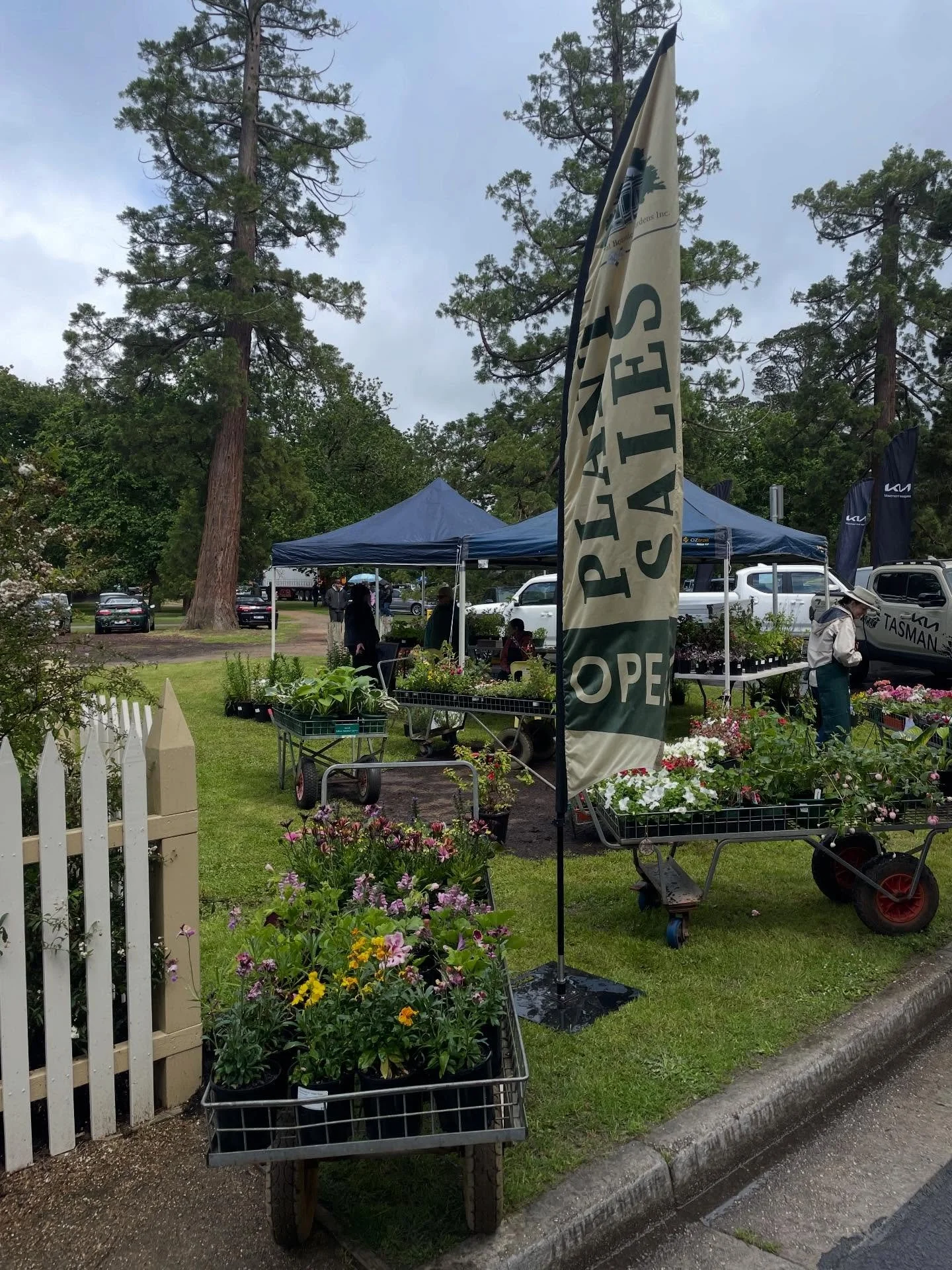 The fabulous Friends of the Ballarat Botanical Gardens are selling plants beside the Gatekeeper&rsquo;s Cottage at @springfest_ballarat. Come and buy some summer colour from $2 per plant while supporting the @ballaratbotanicalgardens.
