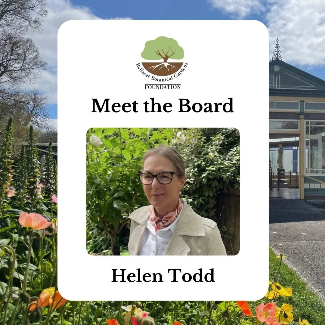 The Ballarat Botanical Gardens welcomes Helen Todd to the board. 

Helen is passionate about Ballarat especially our historical streetscapes and botanical gardens and has been involved in many and varied design projects over the past 30 years, operat