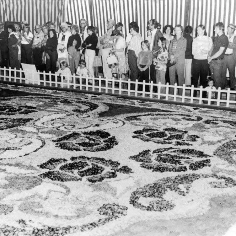 It's that time of the year again when we take a stroll down memory lane to recall the @ballaratbegoniafestivals of the past. 

📷 Do you have your own photos to share? 

Place them in the comments and we'll share them on our Facebook page.

We love s