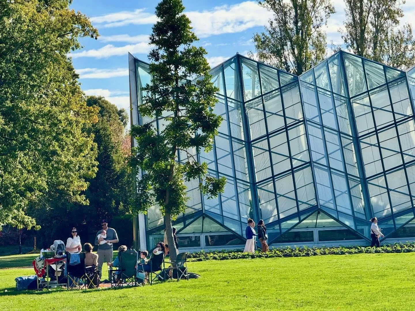 Stunning day in the Ballarat Botanical Gardens today 

People and swans were picnicking and enjoying the sunshine 

#gardeni #botanical