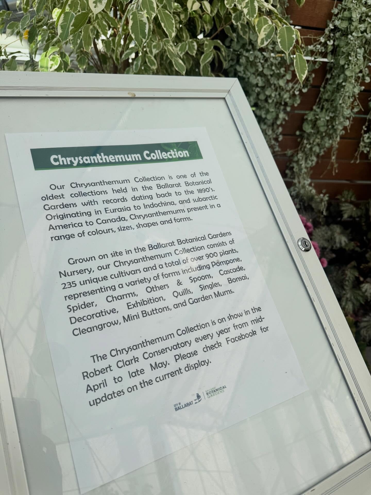 New Floral Display at our Stunning Robert Clark Centre