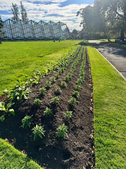Work is now underway on an important irrigation renewal project across the Ballarat Botanical Gardens 💧🌿

With construction commencing in recent weeks, this upgrade will replace ageing infrastructure and support the ongoing care of the Gardens.

It