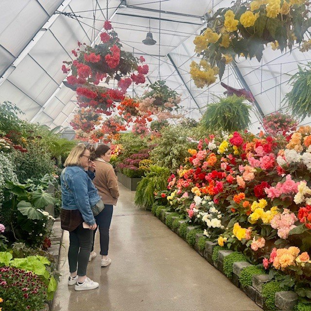 At the heart of the Gardens sits the Robert Clark Conservatory 🌿

Home to changing seasonal displays throughout the year &mdash; from begonias in autumn to cyclamen in winter &mdash; it&rsquo;s a space that continues to surprise and inspire 🌼

A mu