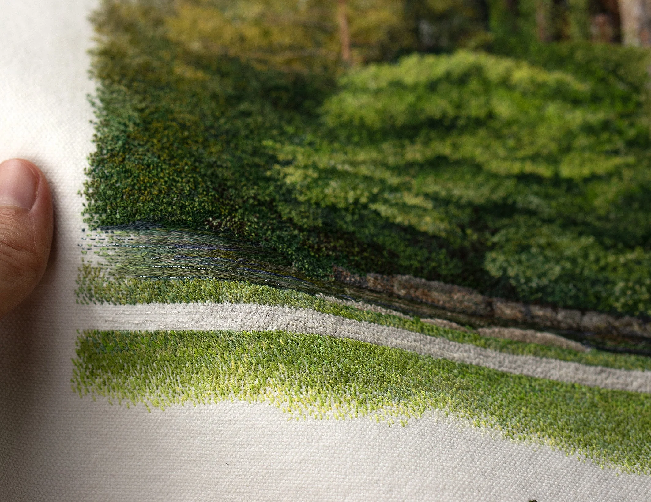 longwood gardens beautiful green place with different types of trees sunset warm colors