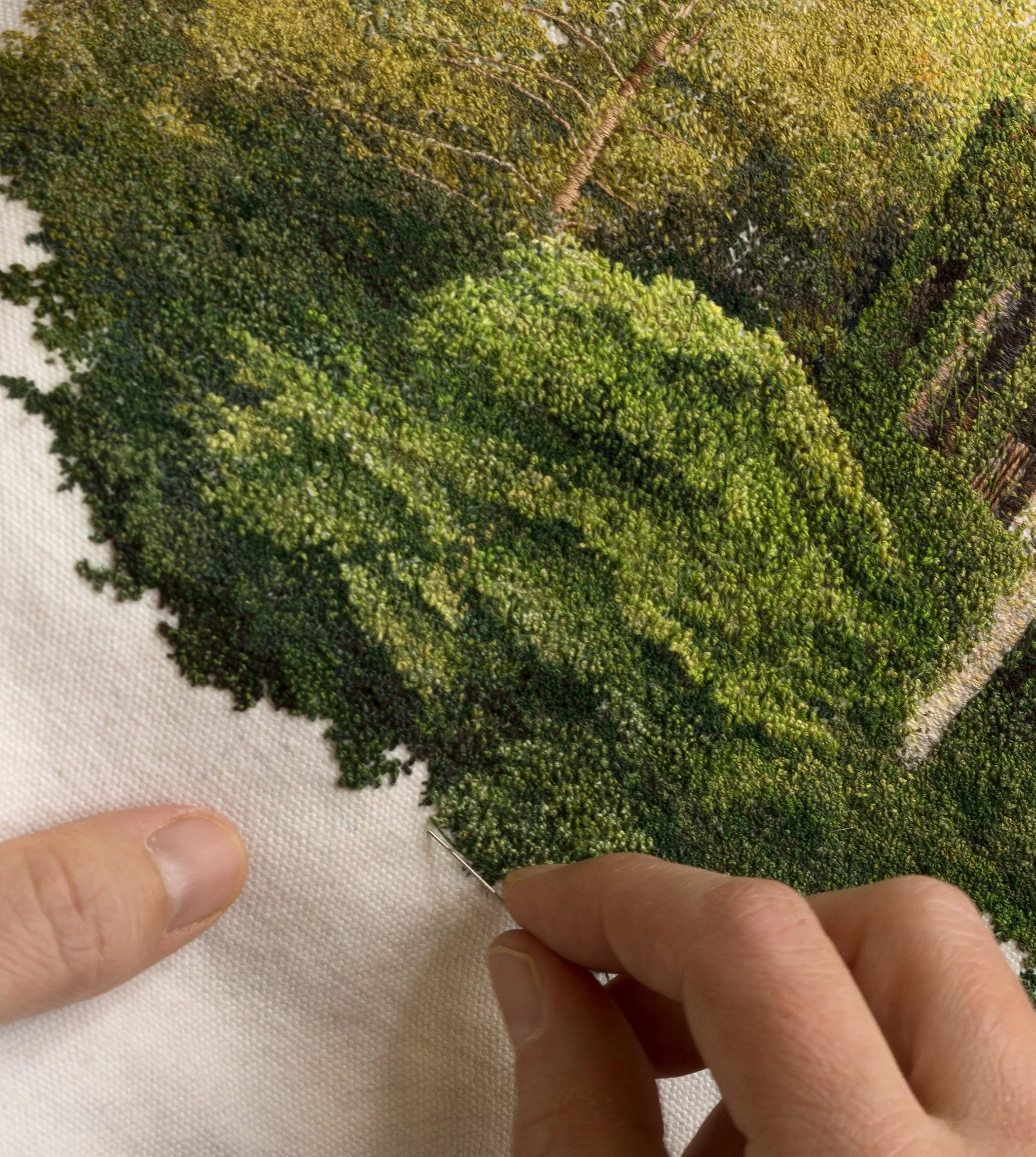 longwood gardens beautiful green place with different types of trees sunset warm colors