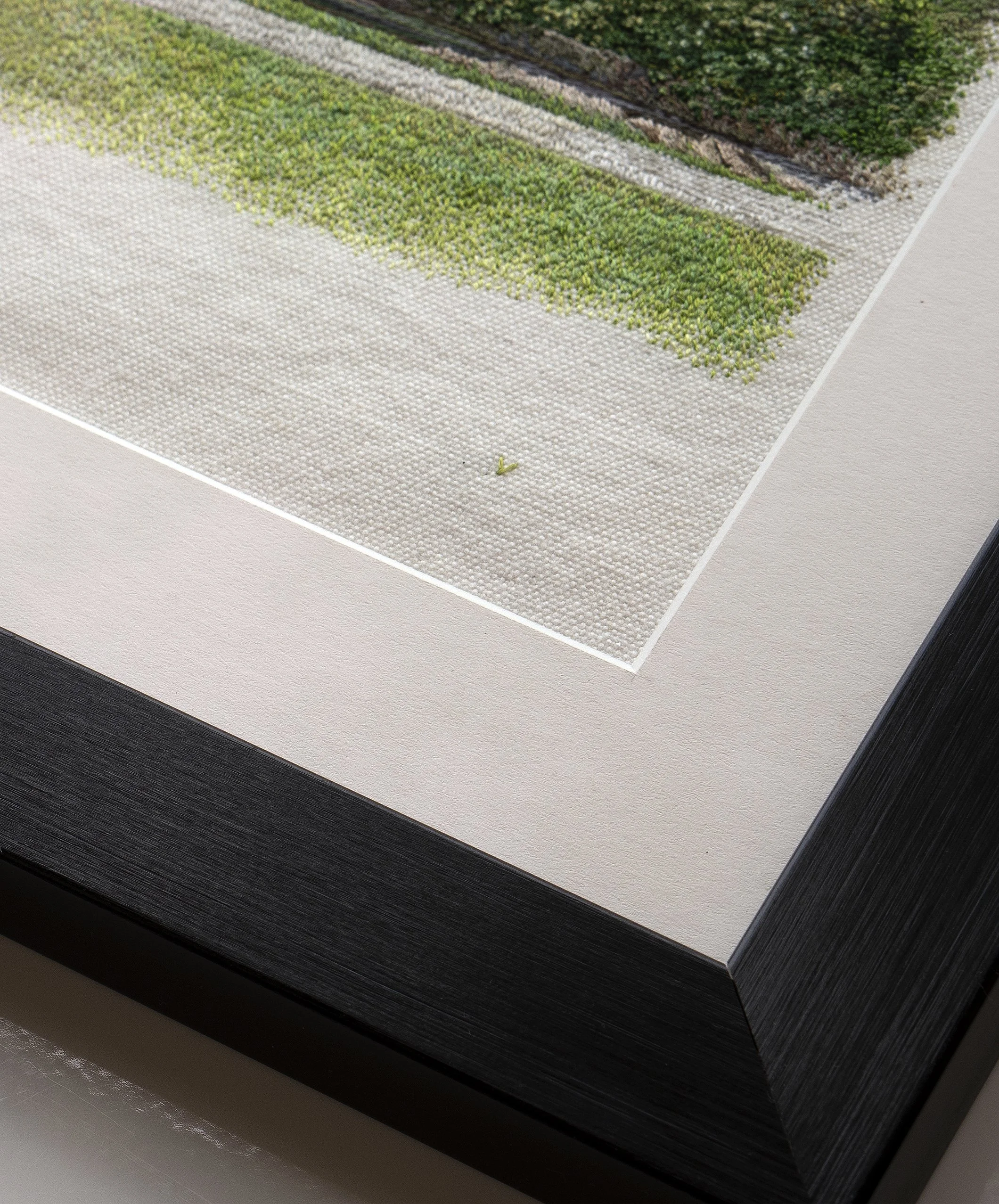 longwood gardens beautiful green place with different types of trees sunset warm colors