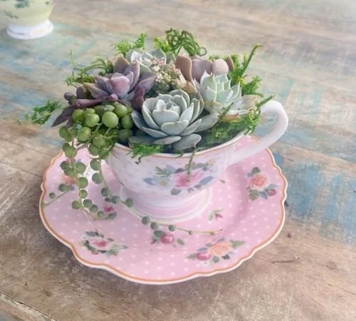 A teacup filled with succulents and greenery, set on a pink floral saucer on a wooden surface.