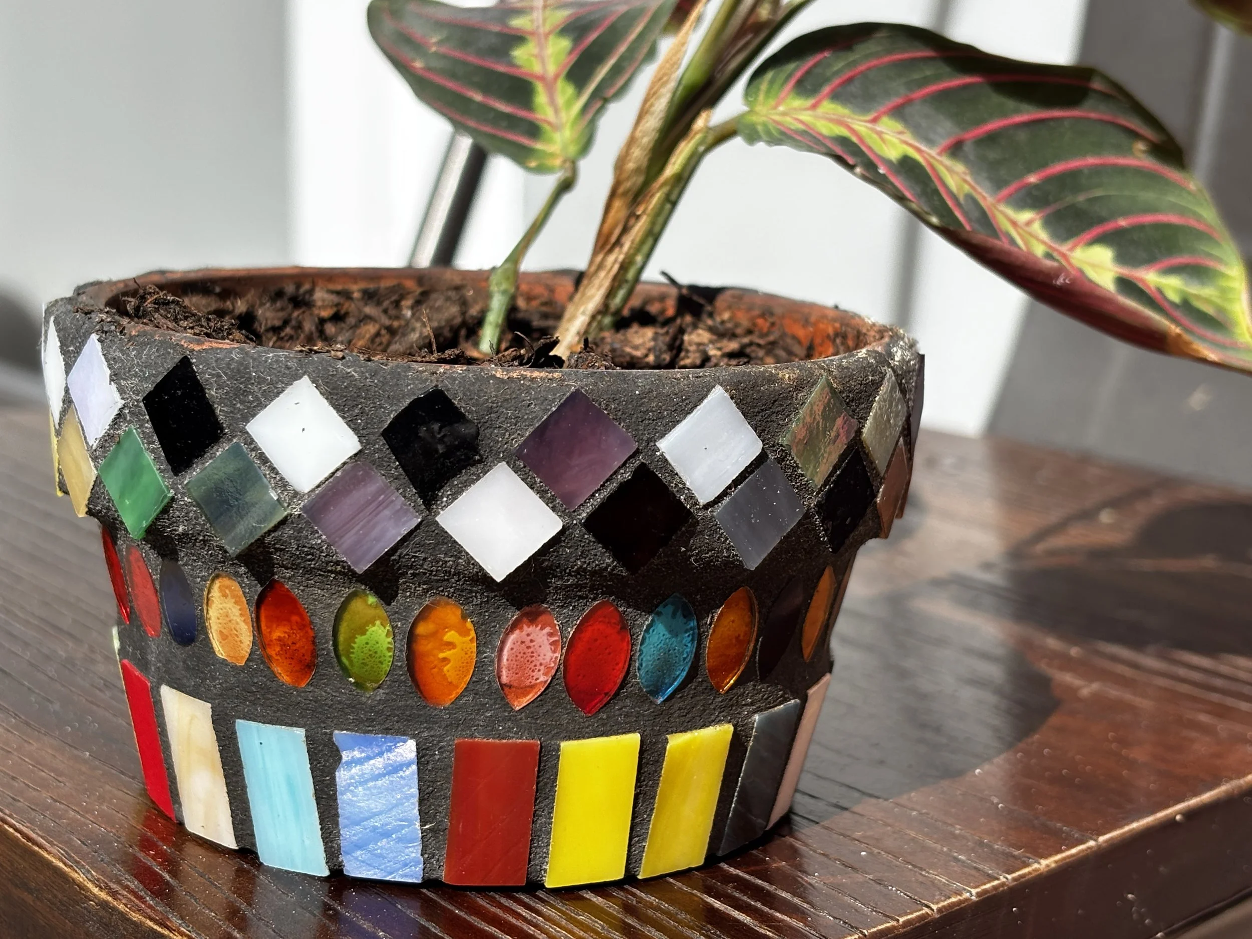 Decorative flowerpot made of dark material with colorful glass mosaic designs, containing a plant with green and pink-veined leaves, placed on a wooden surface.