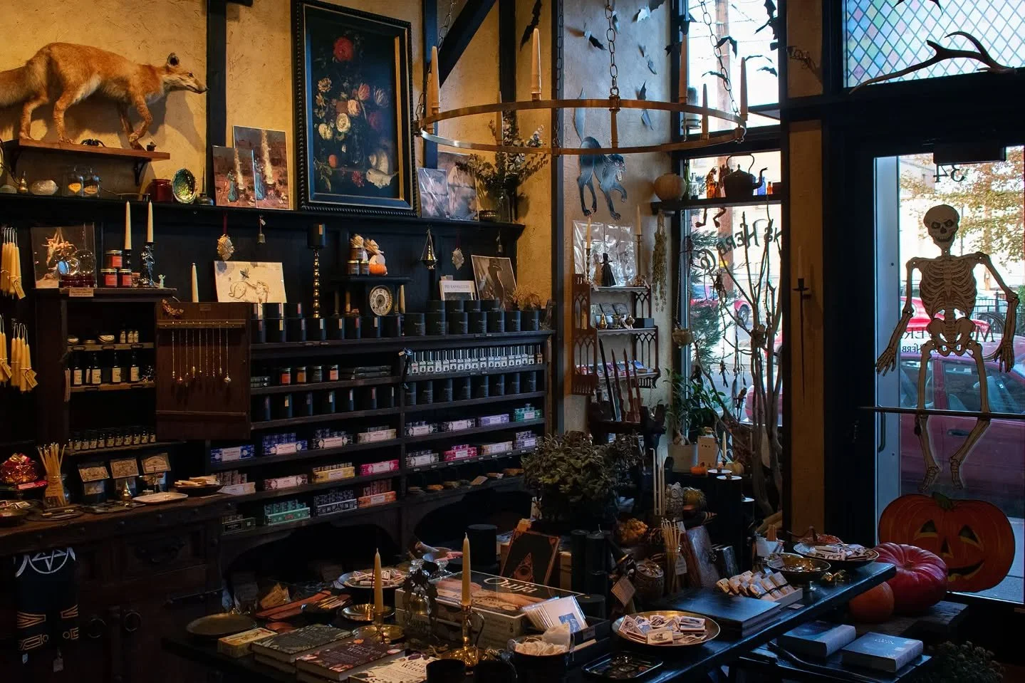 &quot;It's scary out there&quot;

Ain't much better in here, kid 🎃

Open 11-6
Scare you soon! 

#halloween #apothecary #herbshop #downtownwallawalla