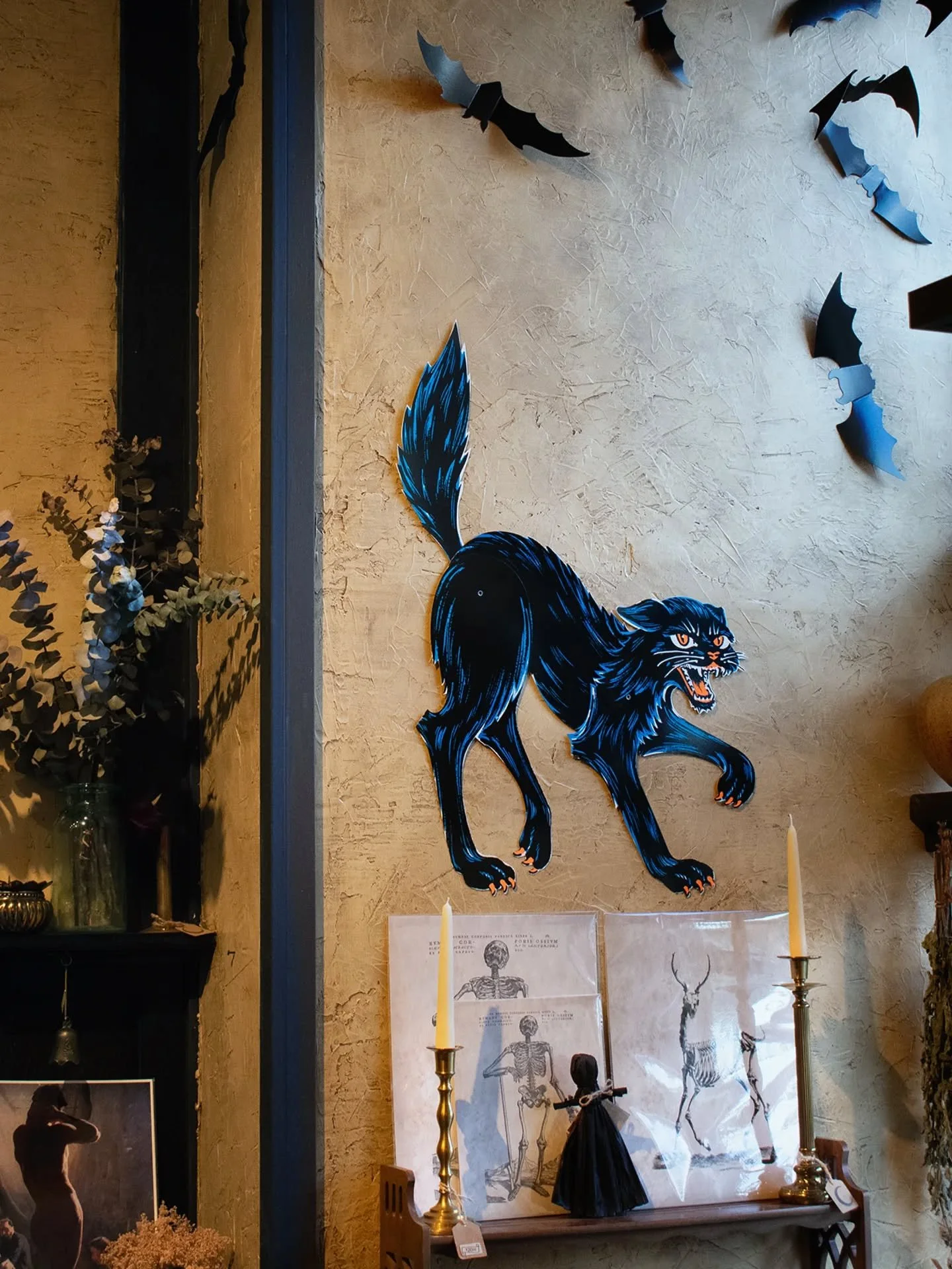 Here kitty kitty...

Got a couple new herbs on the wall 

Rhubarb Root - A natural laxative and supporter of a healthy GI tract. Also high in vitamin K1, which is important for bone formation. So could be good for offsetting the effects of osteoporos
