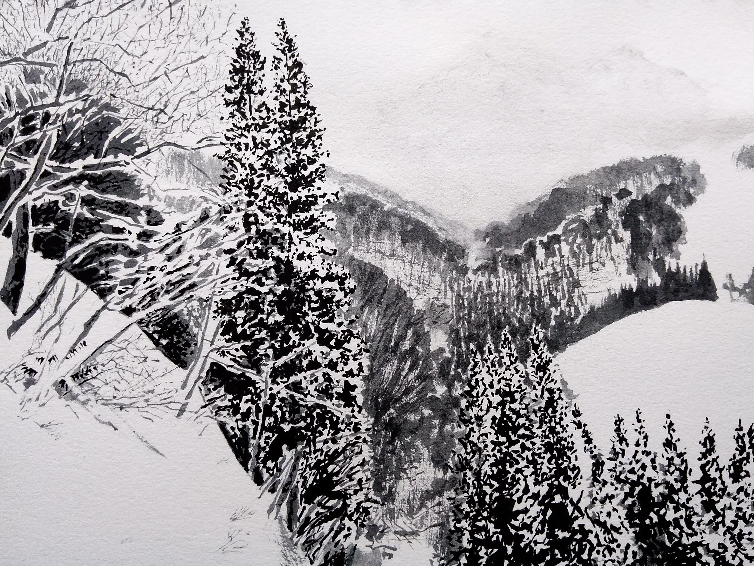 ThomSmithArt-Drawing-TimeAndPlace-MountainForrest.jpg
