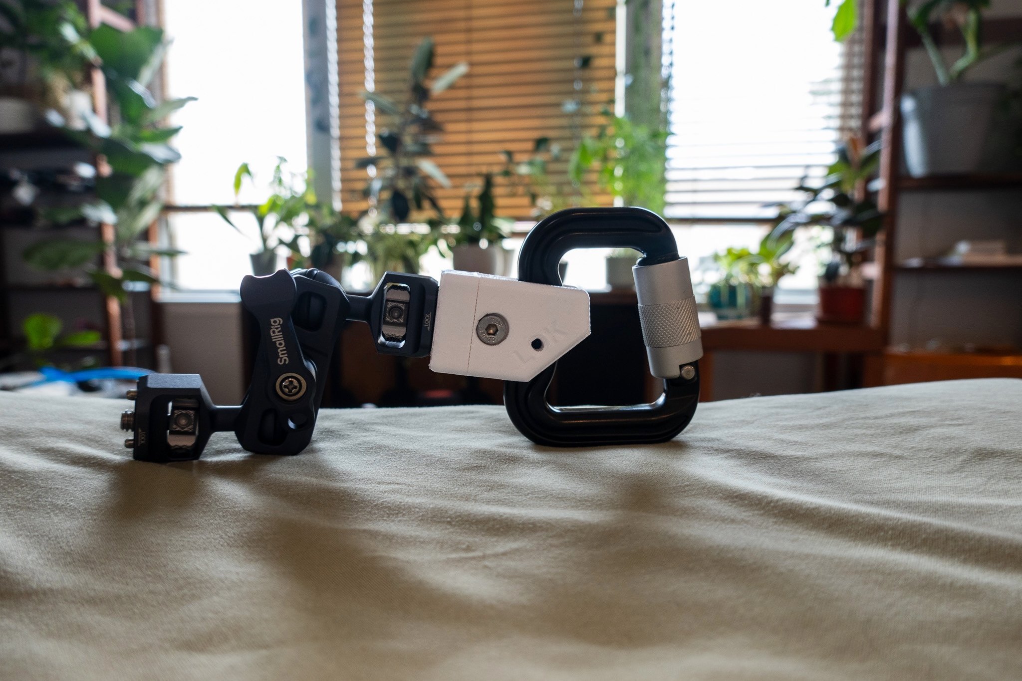 _DSC4282.jpeg