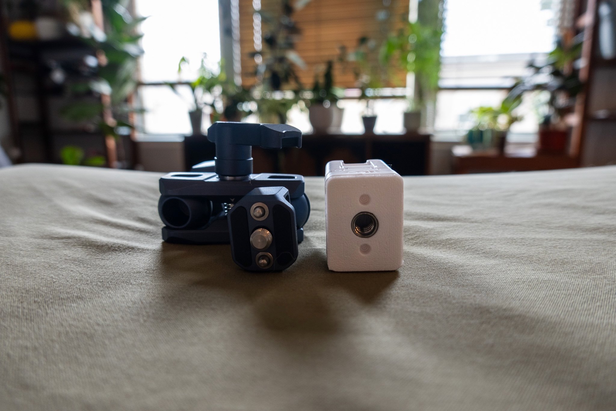 _DSC4274.jpeg