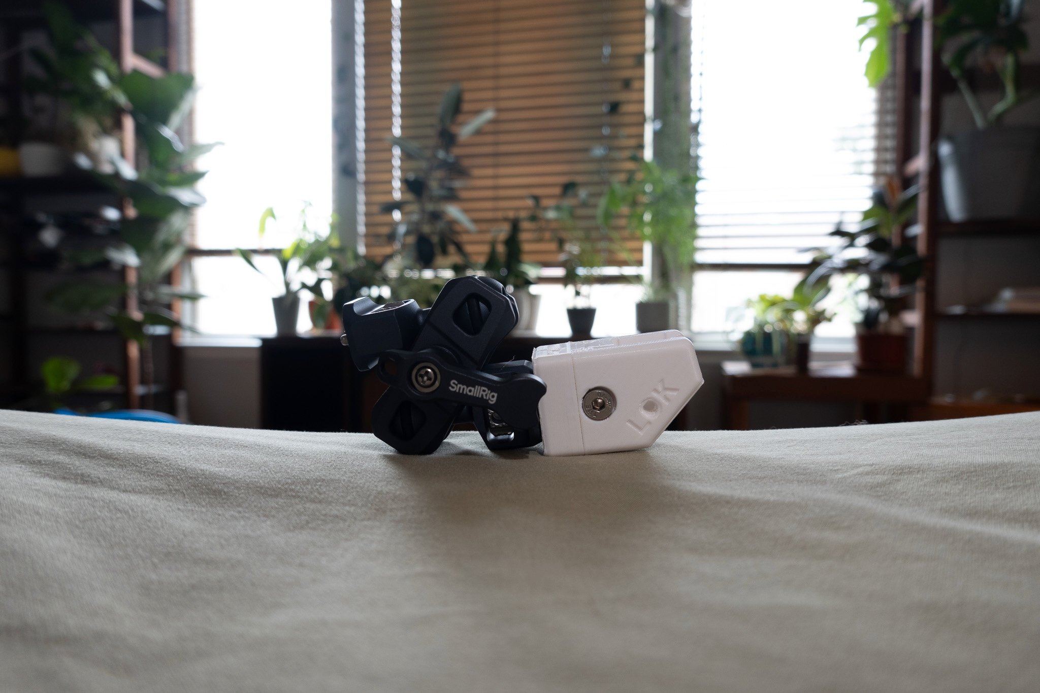 _DSC4280.jpeg