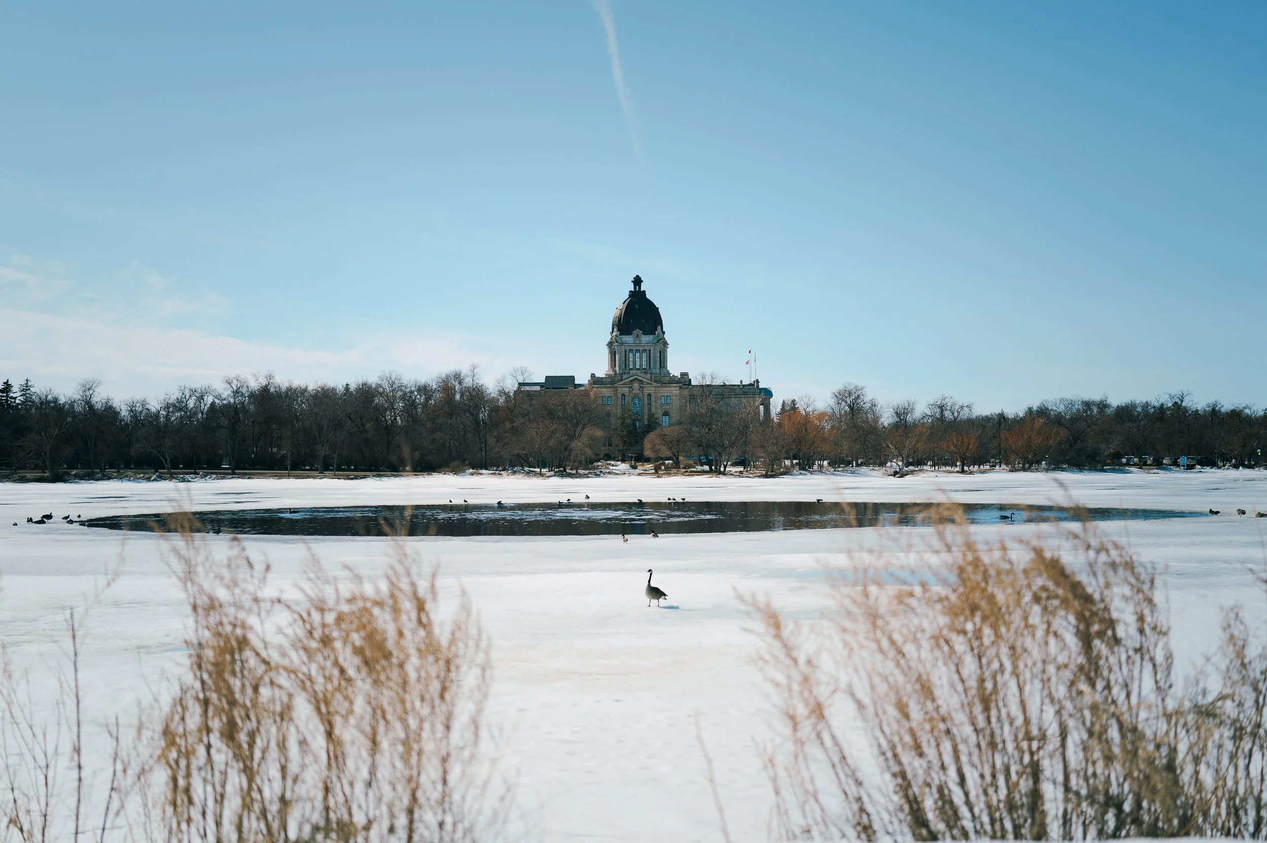 frozen lake rust.jpg