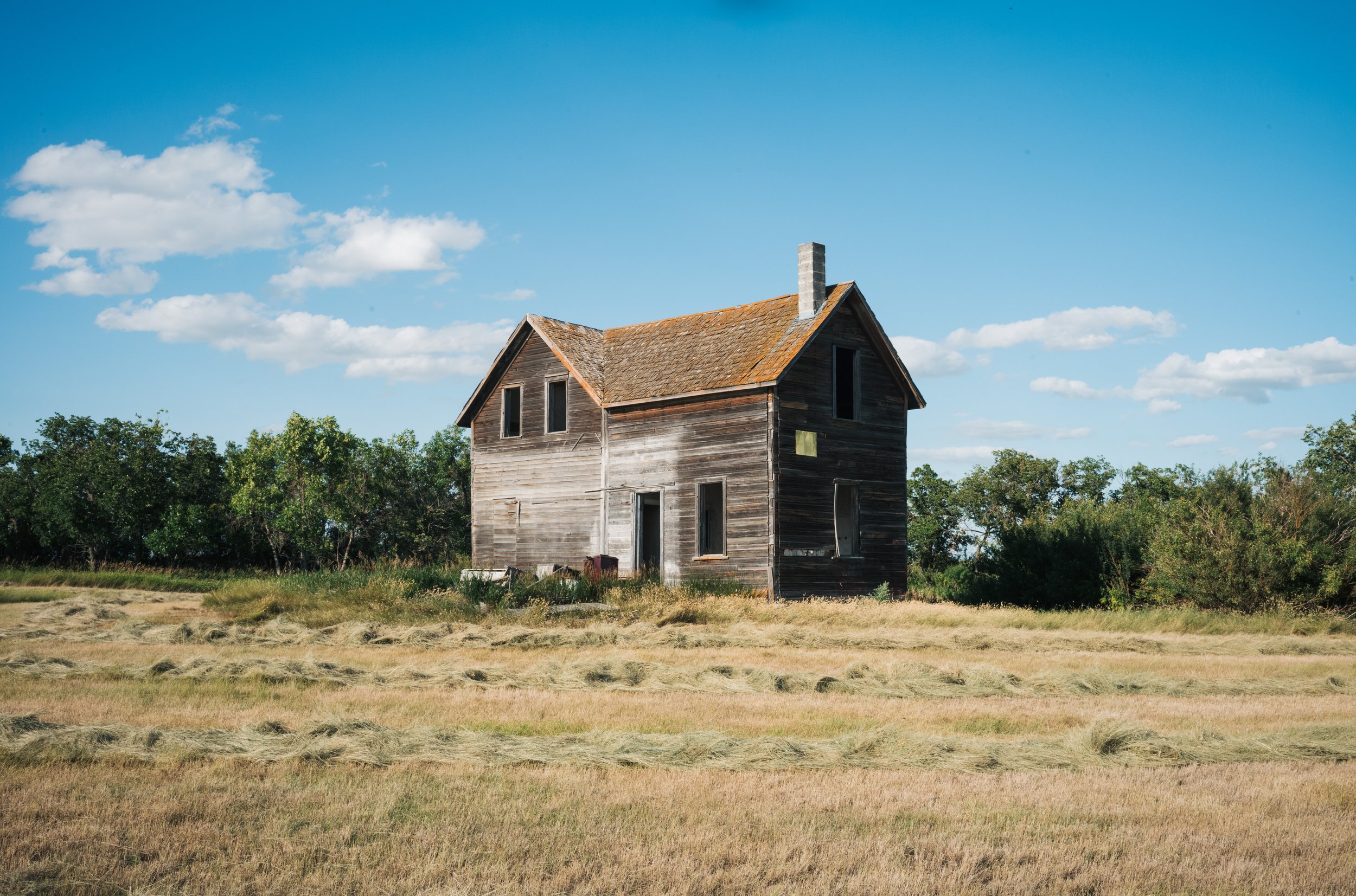 book website landing-04.jpg