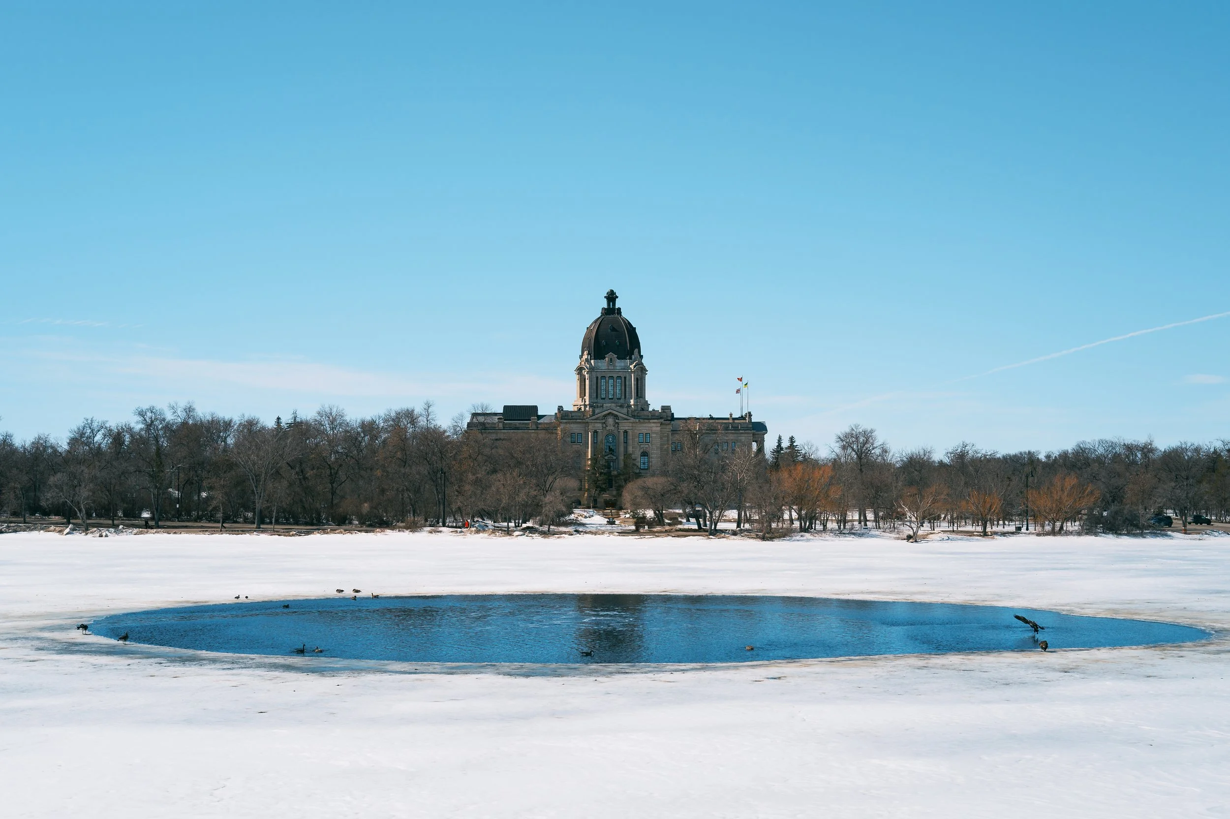 frozen lake neg-1.jpg