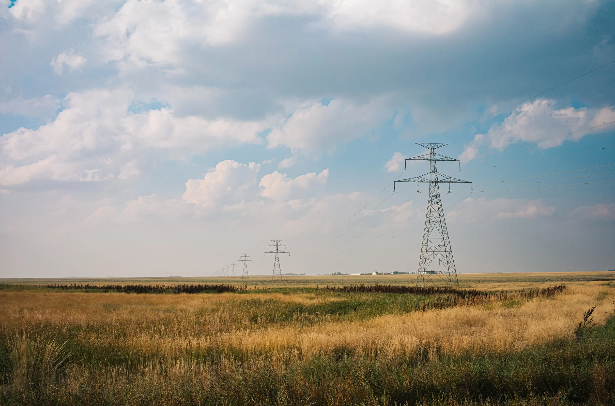 book website landing-25.jpg