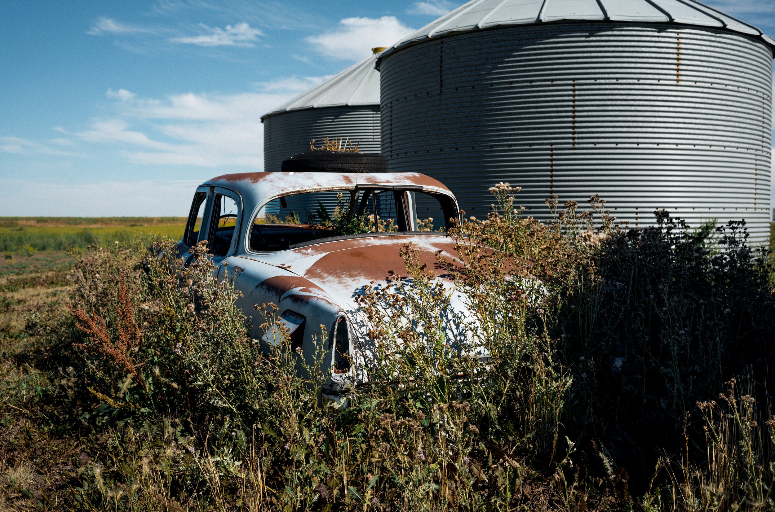 book website landing-10.jpg