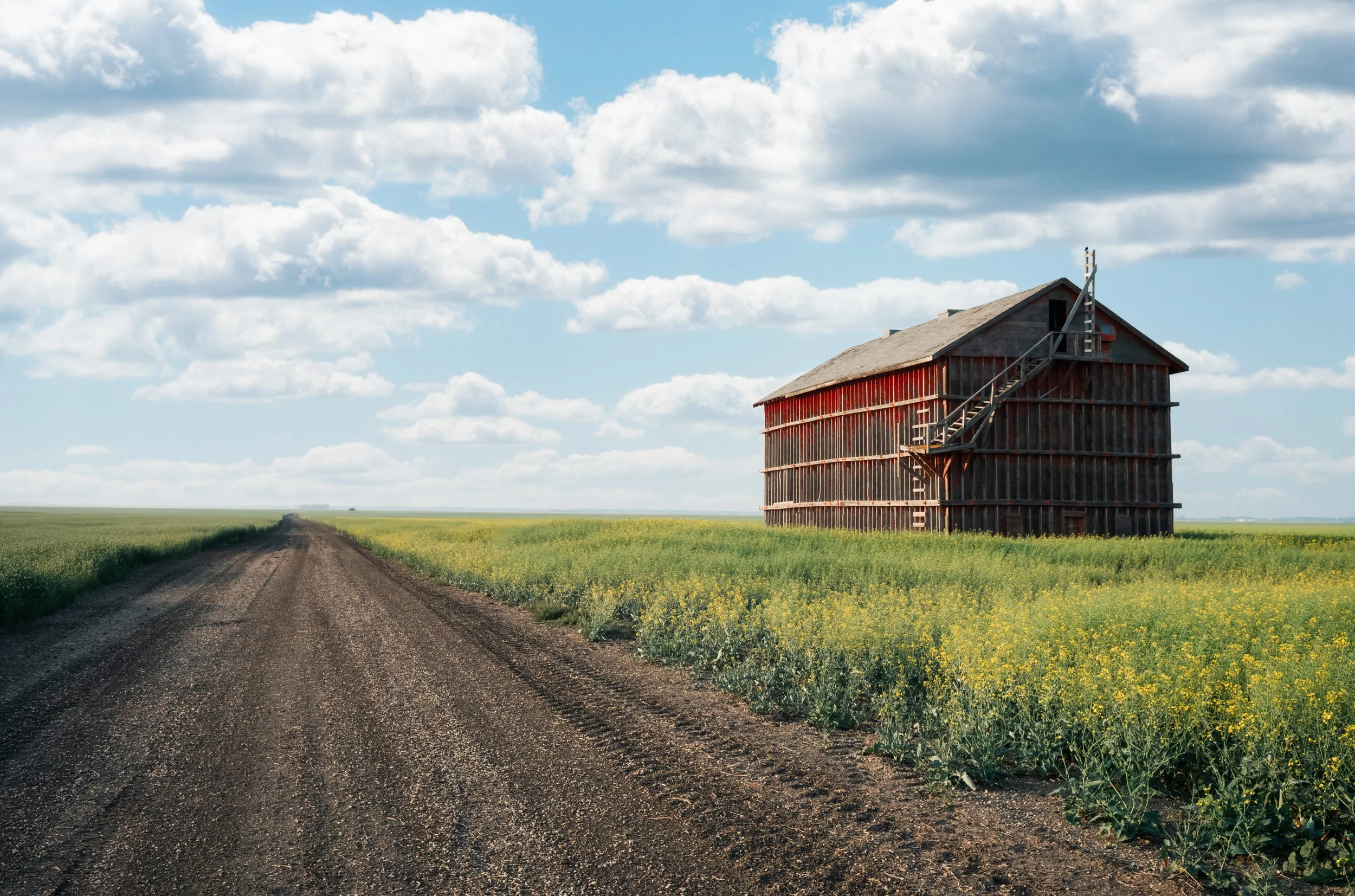 book website landing-03.jpg