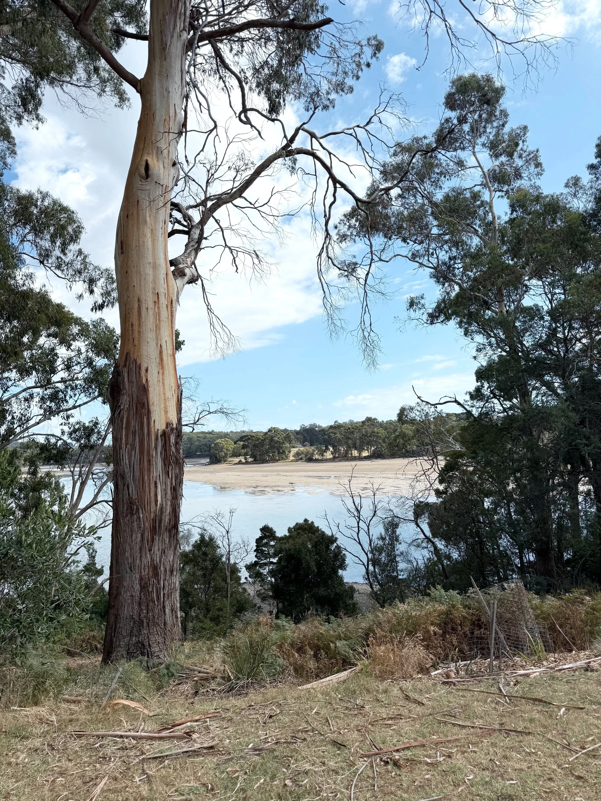 Architect site visit. River views. Mid century modern high performance home. Passive house architect Launceston Tasmania by Loubser Workshop