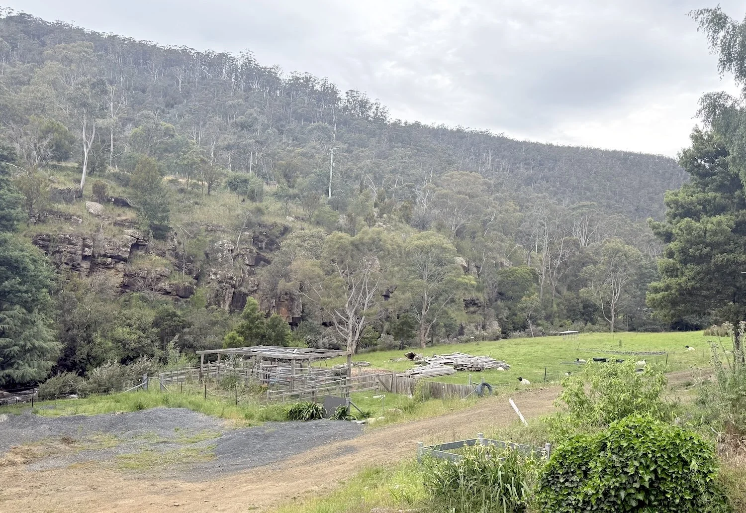 Site vista. High performance home rammed earth shou sugi ban timber cladding passive house architect Hobart Tasmania by Loubser Workshop