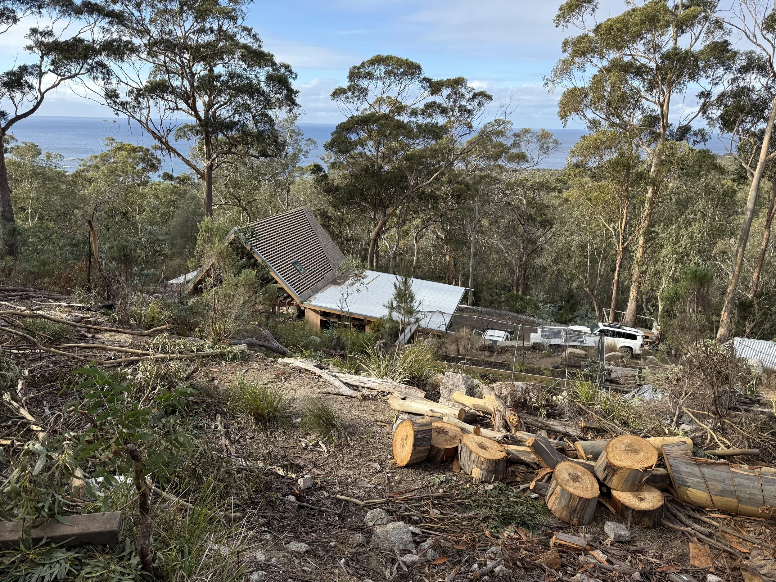 Bicheno Bushbuck. Construction progress and site context with ocean views