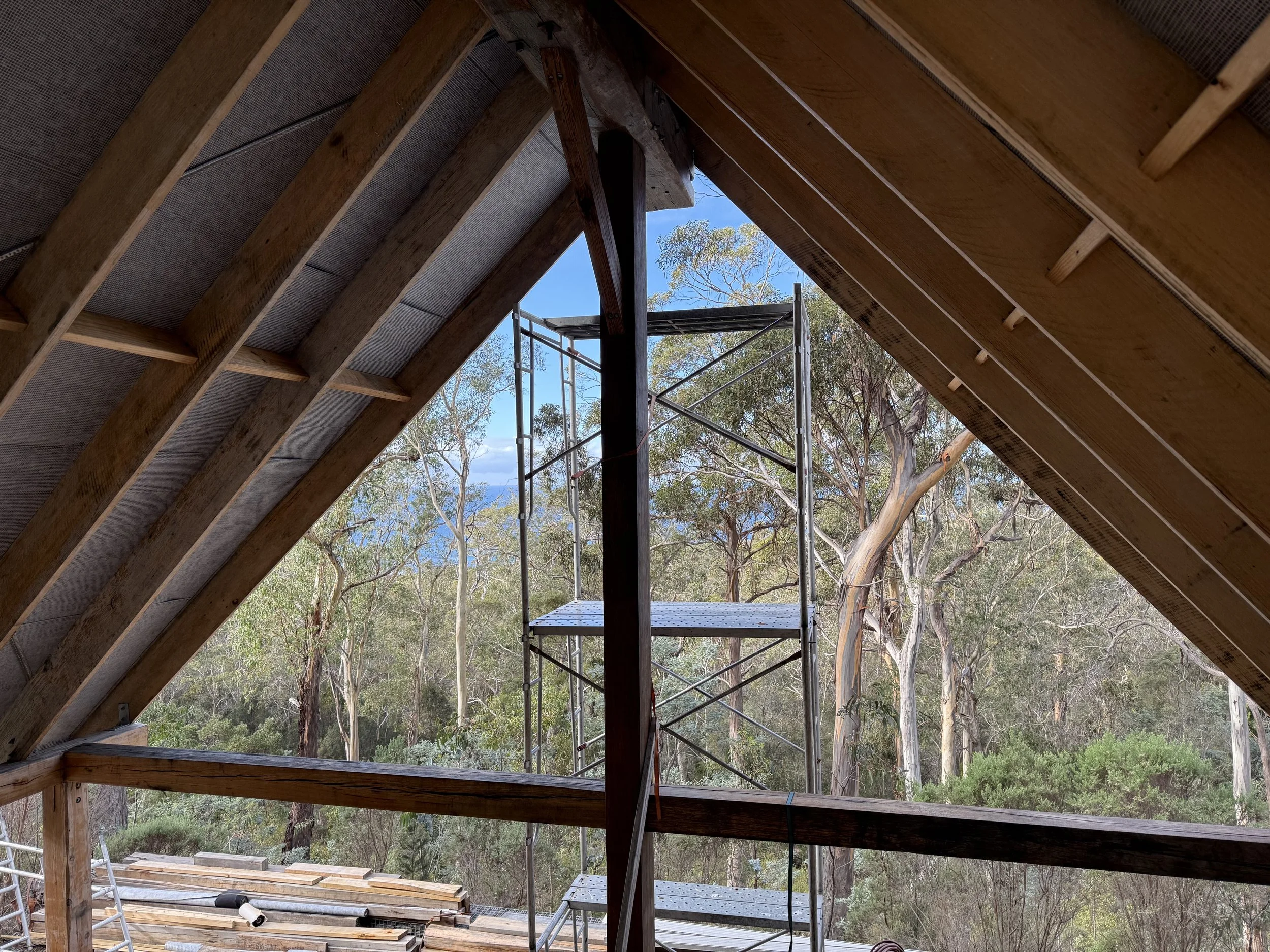 Bicheno Bushbuck. Salvaged timber post and beam structure with Pro Clima membrane
