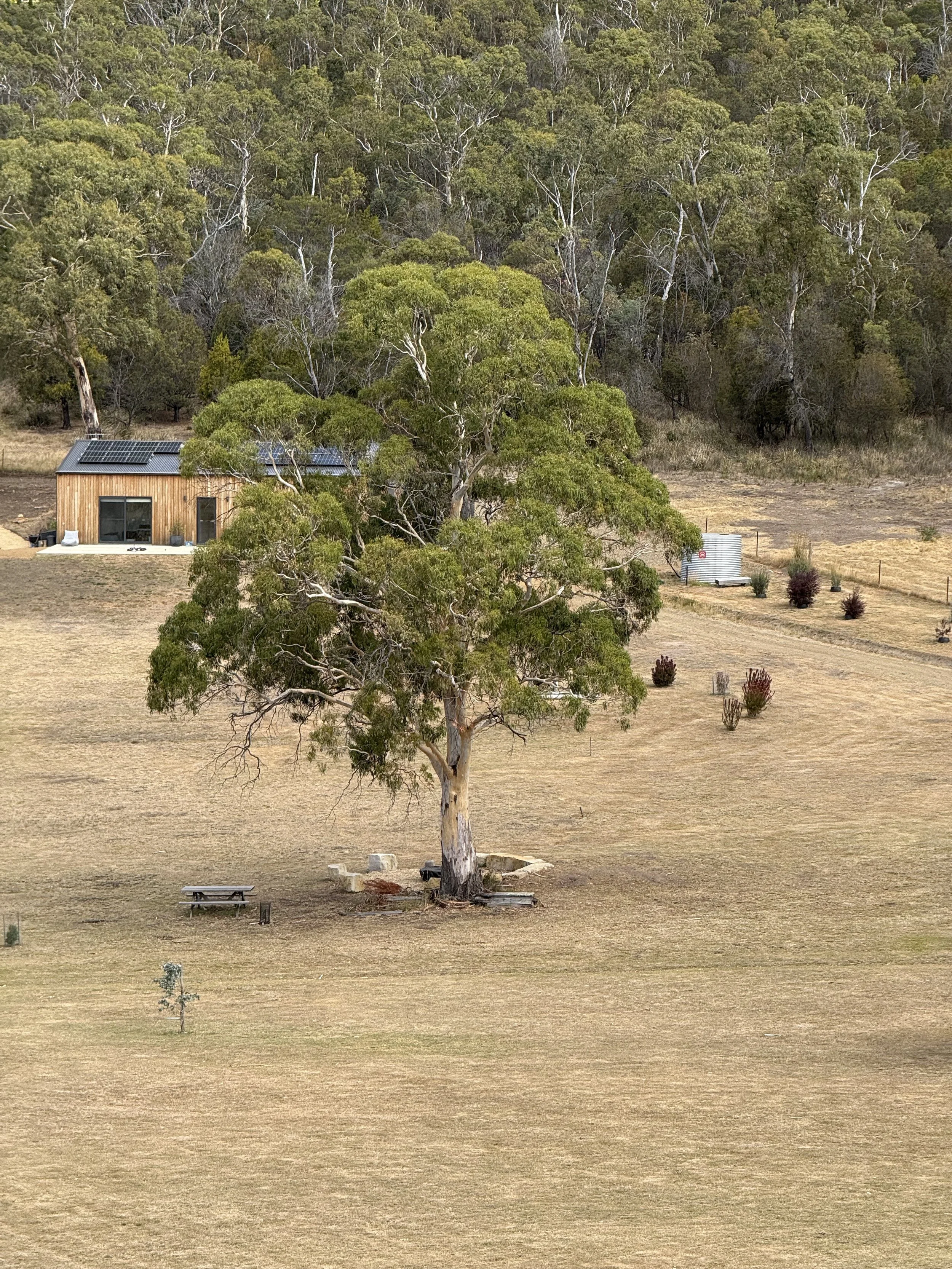 Aspect Passivhaus. Site context photo showing gum tree by architect Michael Loubser from Loubser Workshop