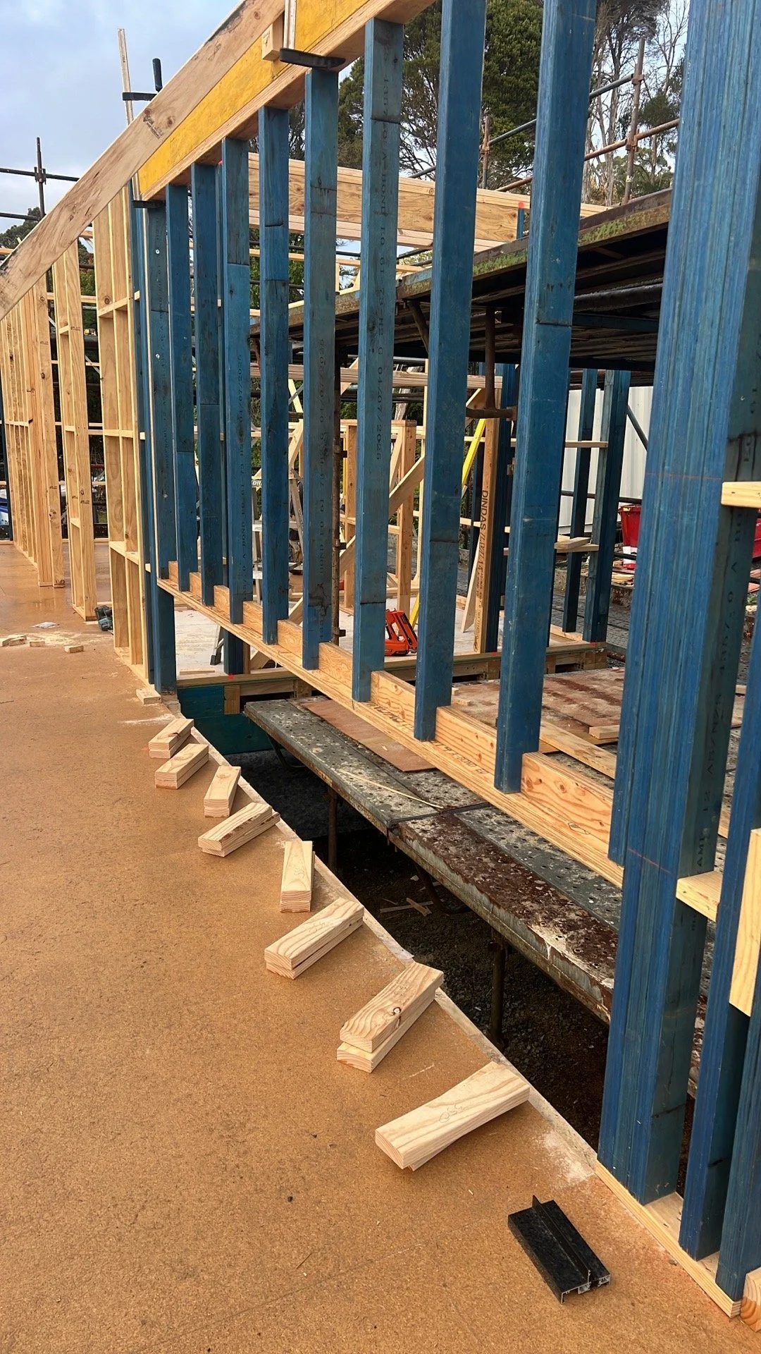 Banyula Butterfly. Photo of timber framing by Zanetto Builders for passive house architect Michael Loubser from LOUBSER WORKSHOP