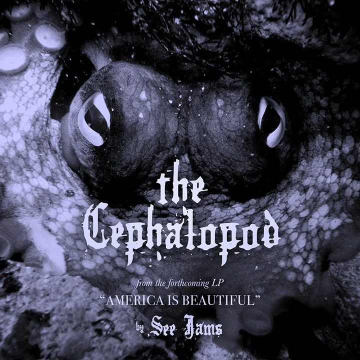 SeeJams_TheCephalopod.jpg