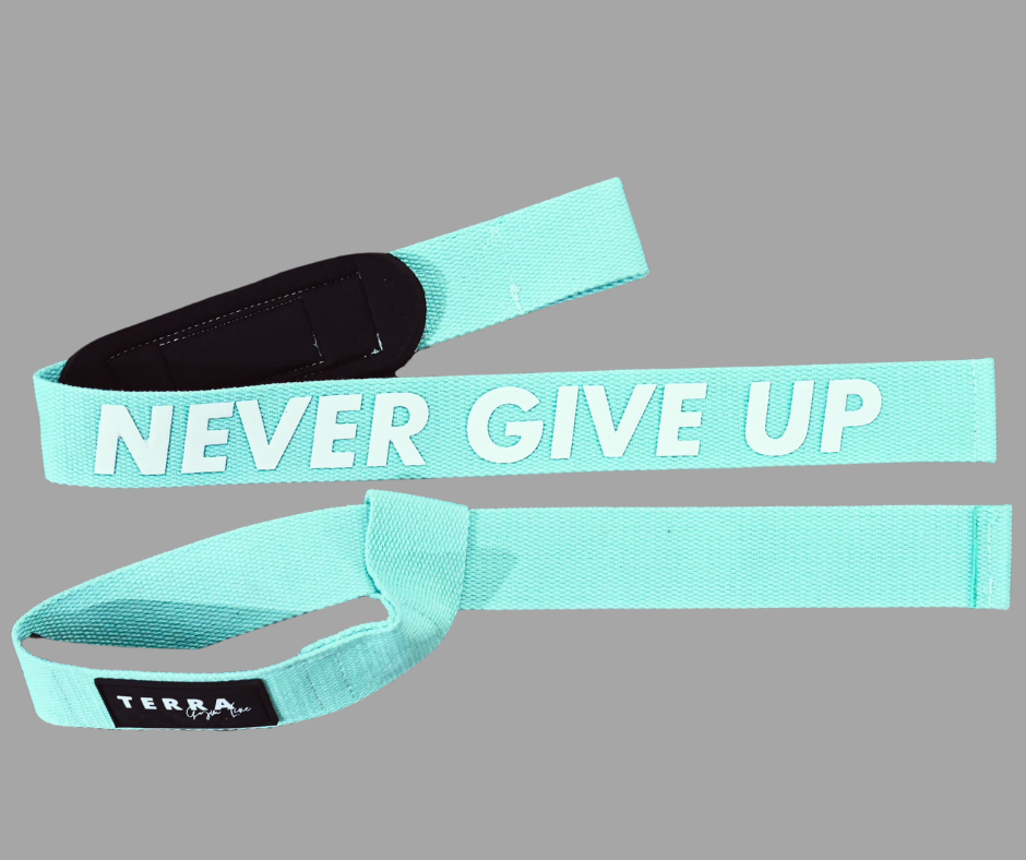 turqoise straps.png