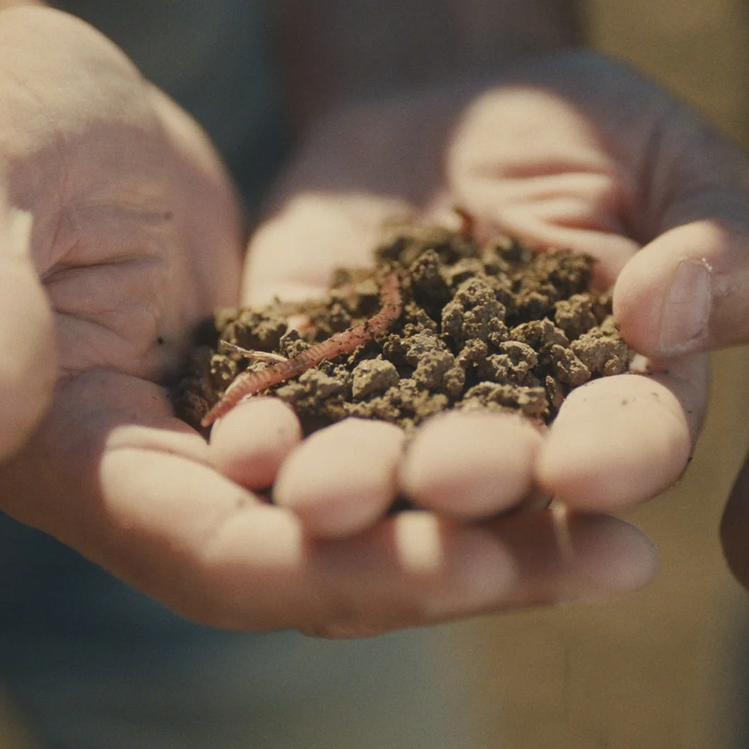 DENIM DOCUMENTARY_BEHIND THE DENIM_THE SUSTAINABILITY DEEP DIVE_EPISODE 04 - VISUALS_1.1_05.jpg