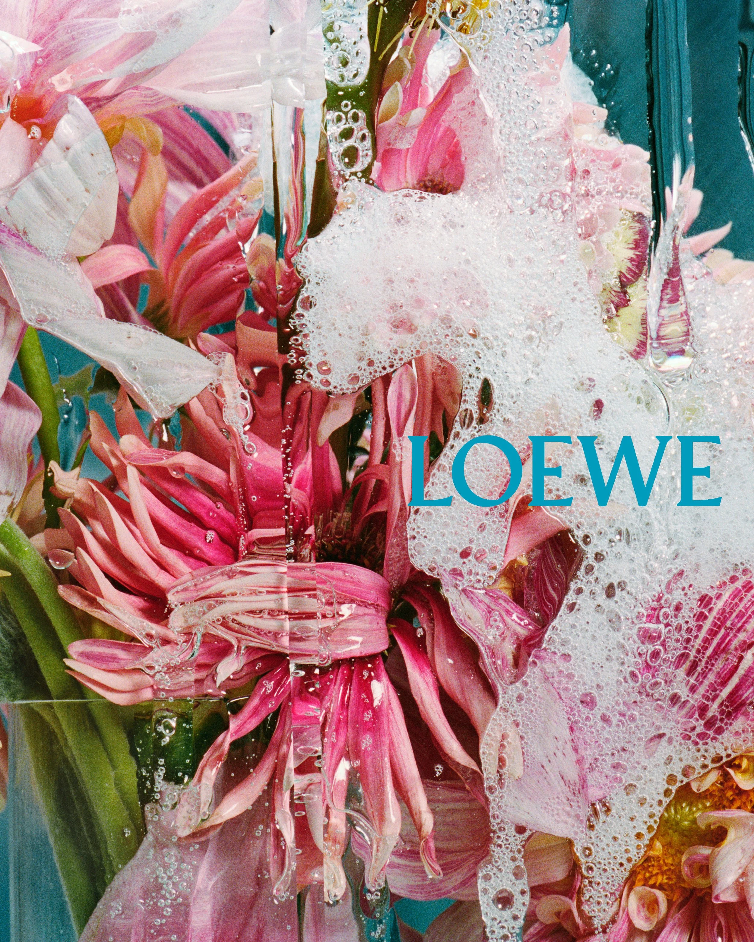 LOEWE_SS26_WW_SHOW_TEASER_sRGB_CROPPED_2_4x5.jpg