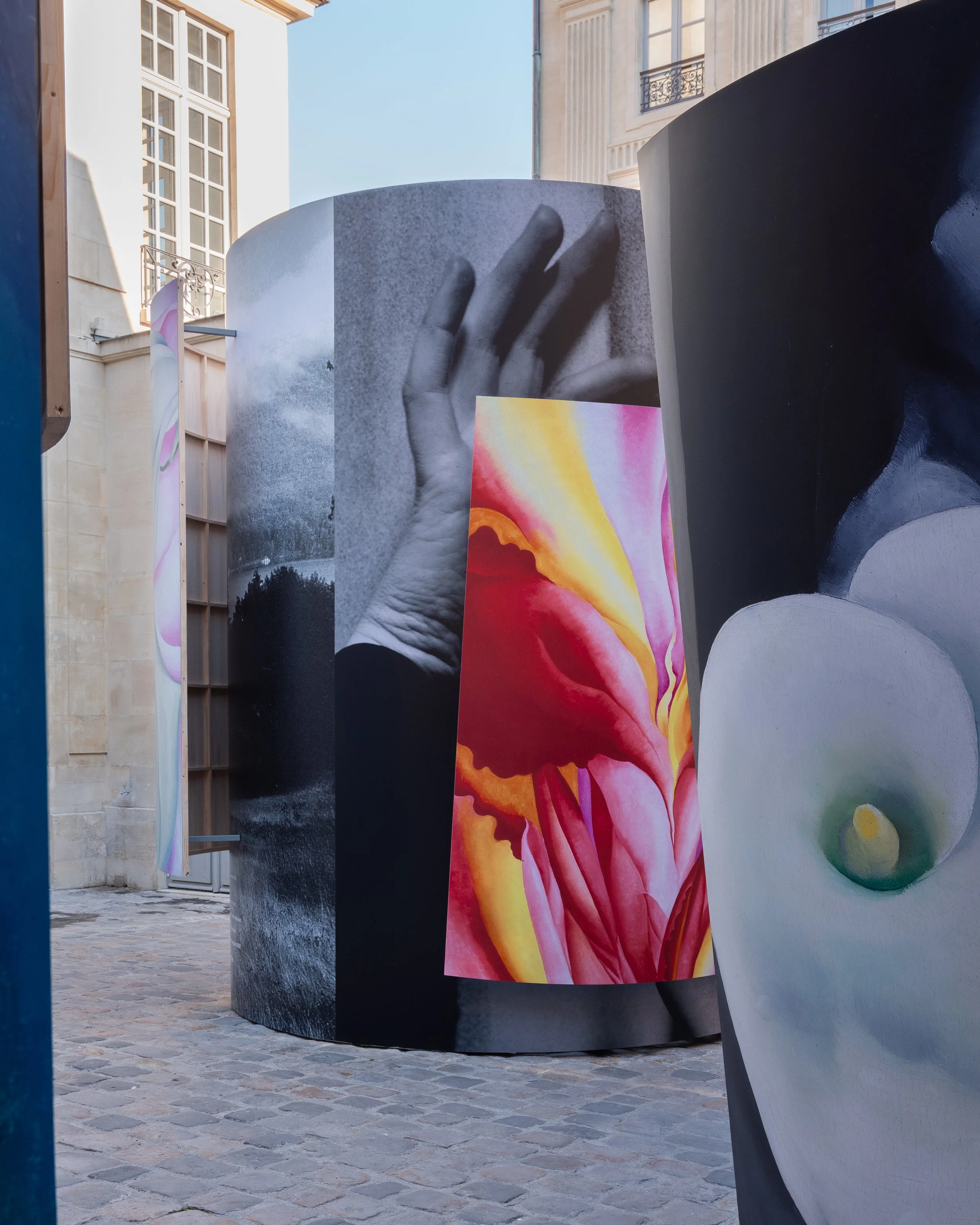 DSMP Georgia OKeeffe Installation_September 2025-42.JPG