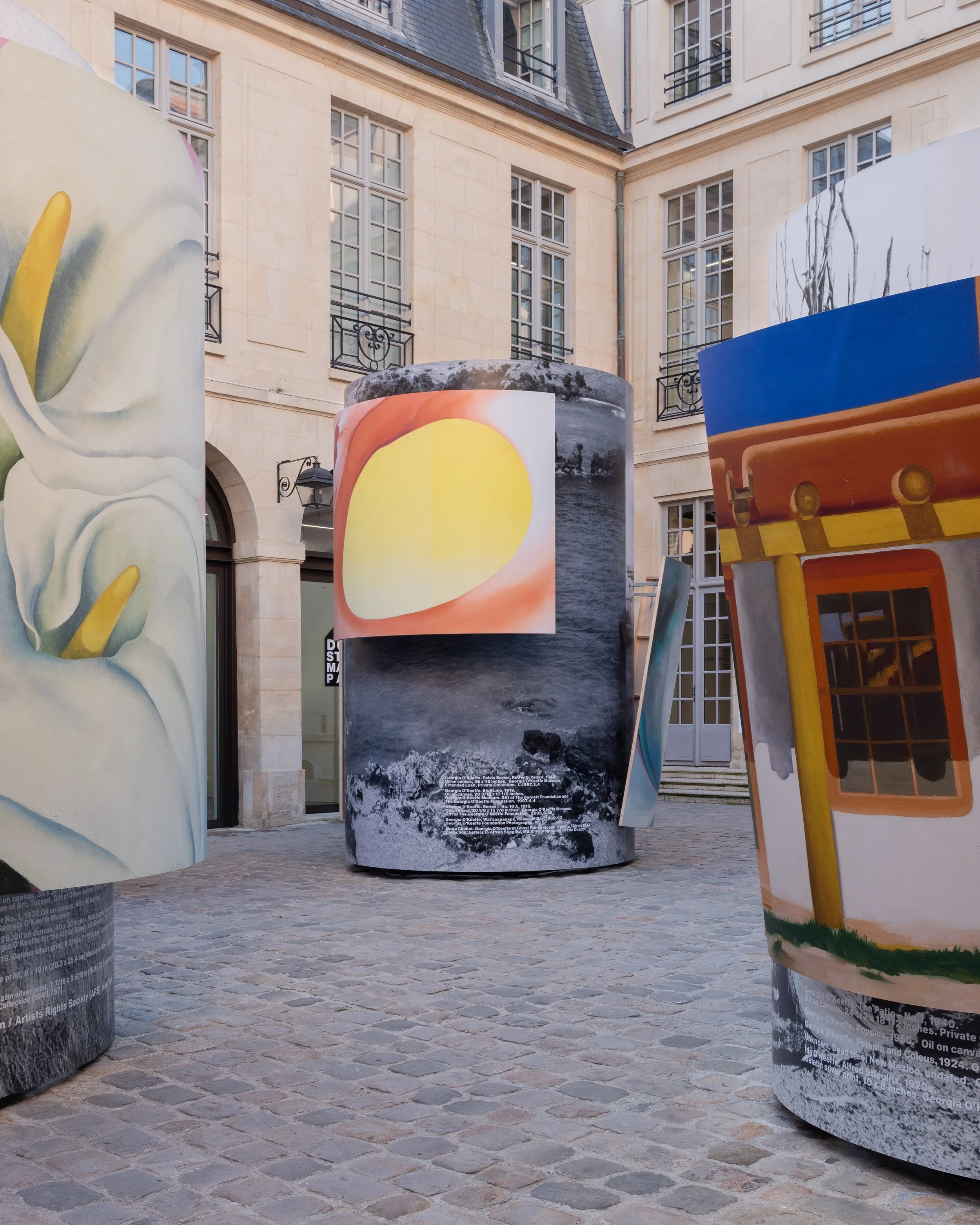 DSMP Georgia OKeeffe Installation_September 2025-39.JPG